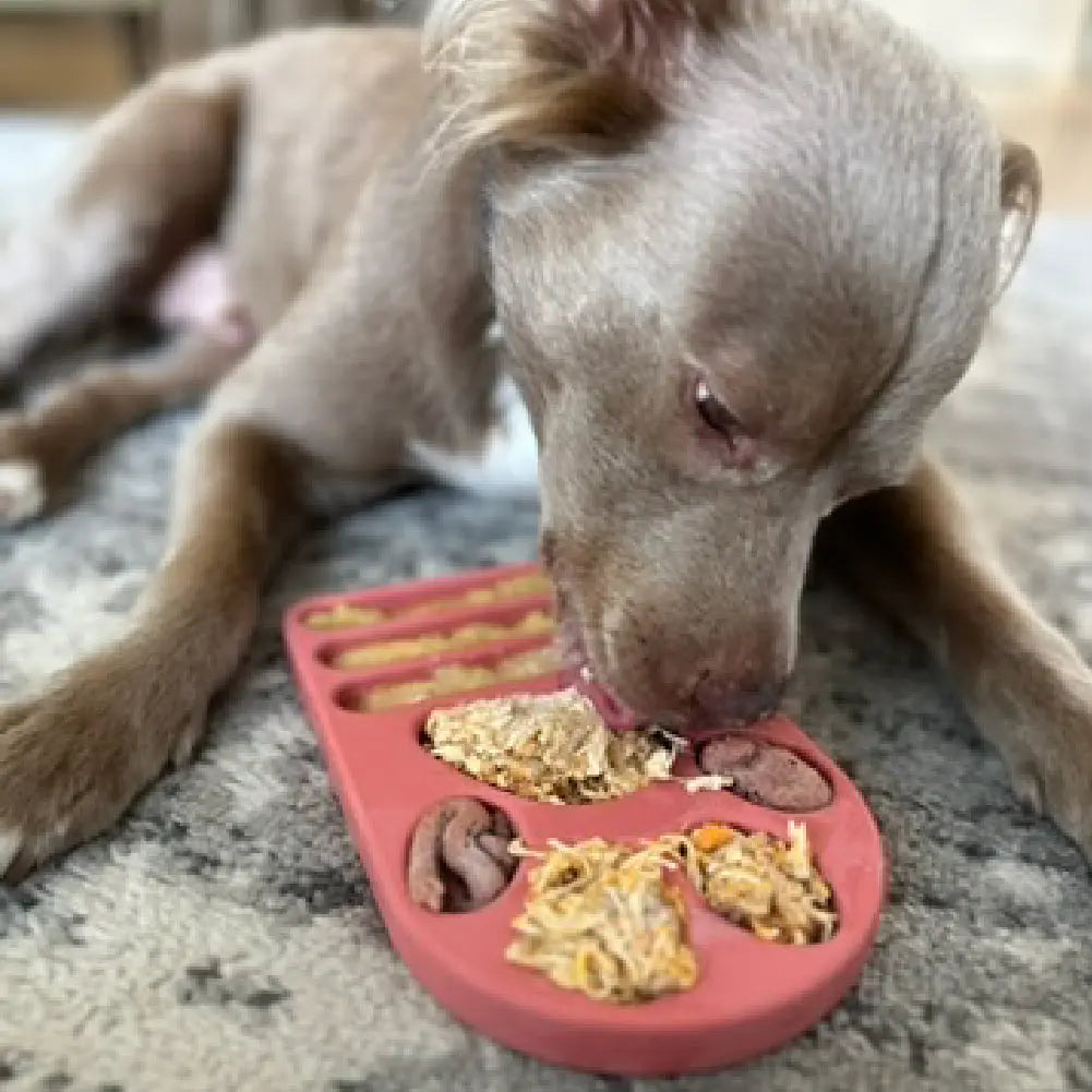 FreezPaw Mat -  Calming Slow Feeder Freezbone