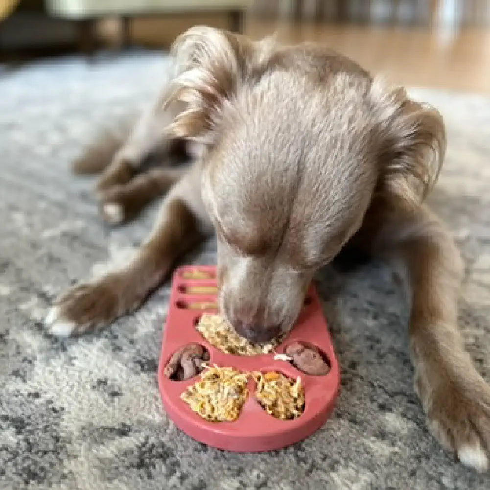 FreezPaw Mat -  Calming Slow Feeder Freezbone