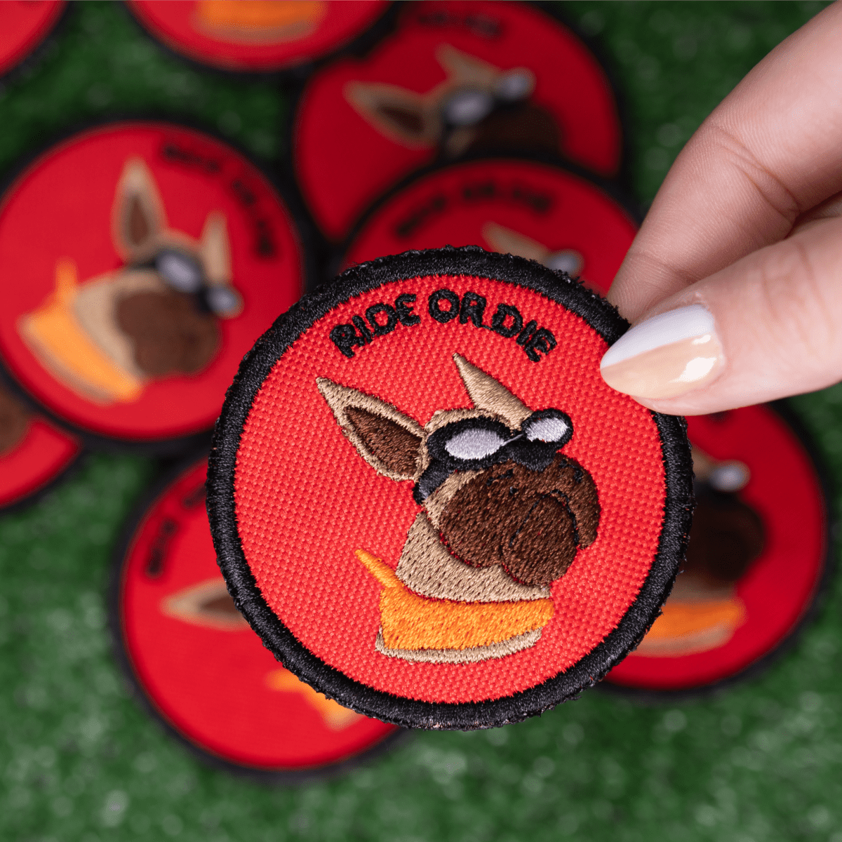 Ride or Die Patch