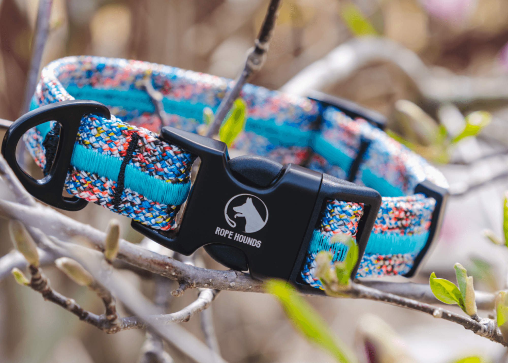 Adventure Dog Collar - Multicolor
