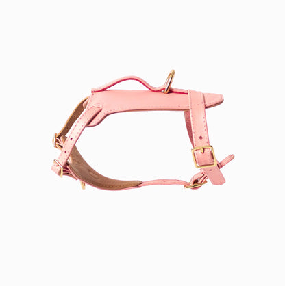 Rosè Heritage Harness Ramona For You