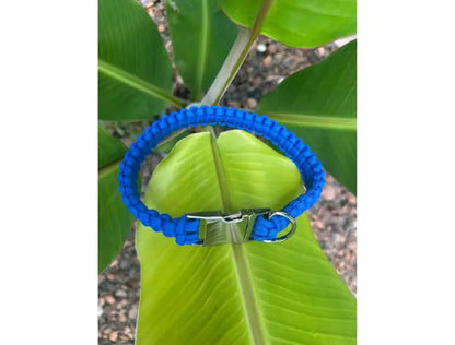 Cobra Braid in Royal Blue - Handmade Dog Collar Pawsh Pup Co.