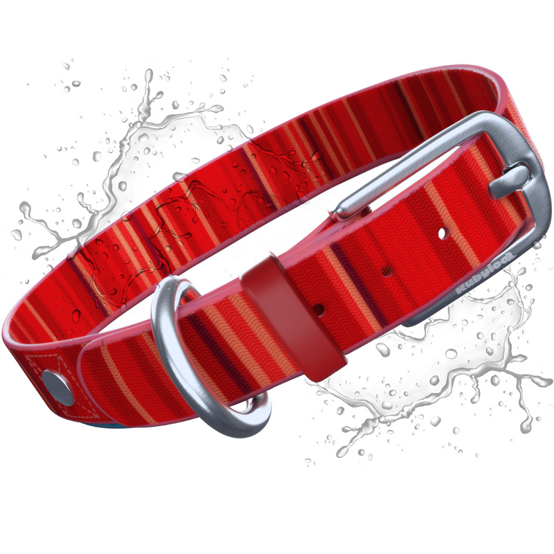 Waterproof Dog Collars – Washable Dog Collar, Stink-Proof & Durable