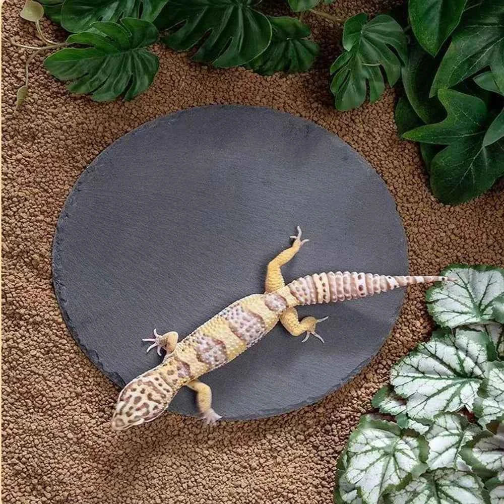 Natural Slate Reptile Basking Platform for Bearded Dragon, Lizard, Gecko Habitat Decor