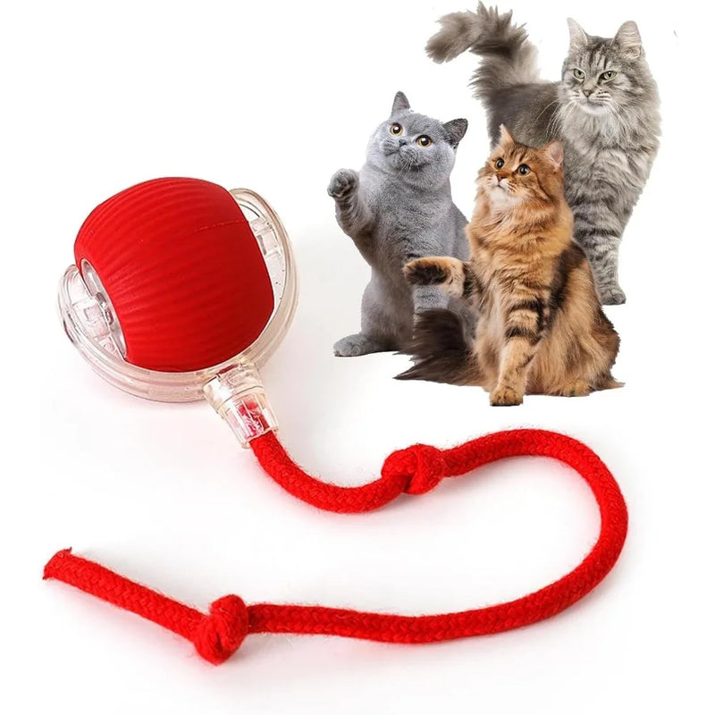 Pet Toy Ball with Tail Rope，Smart Automatic Pet Chase Ball Toy, Upgraded Speedy Tail Kitten Toy for Bored Indoor Adult Pets