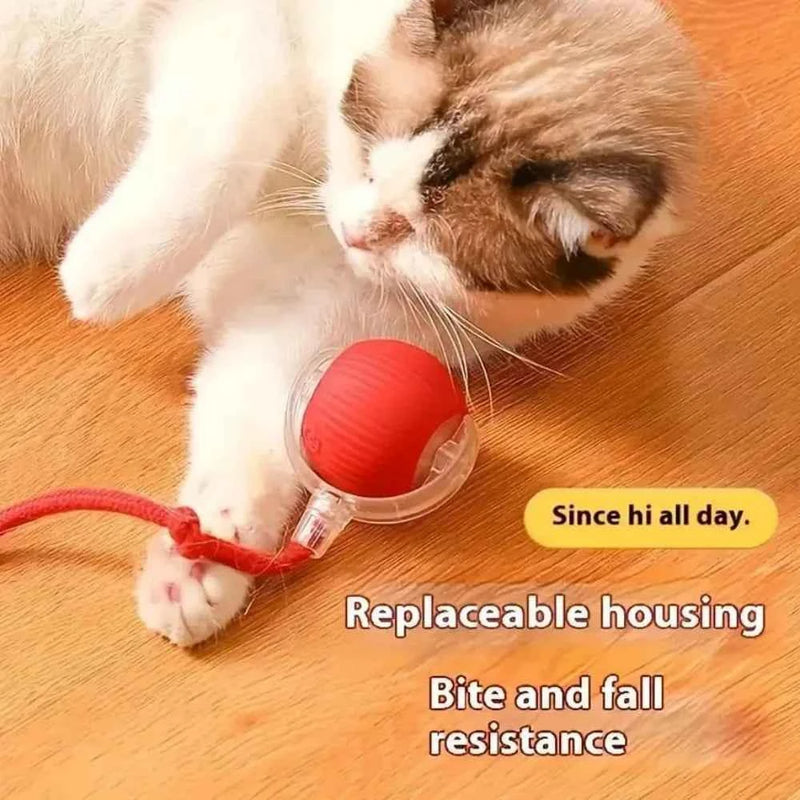 Pet Toy Ball with Tail Rope，Smart Automatic Pet Chase Ball Toy, Upgraded Speedy Tail Kitten Toy for Bored Indoor Adult Pets