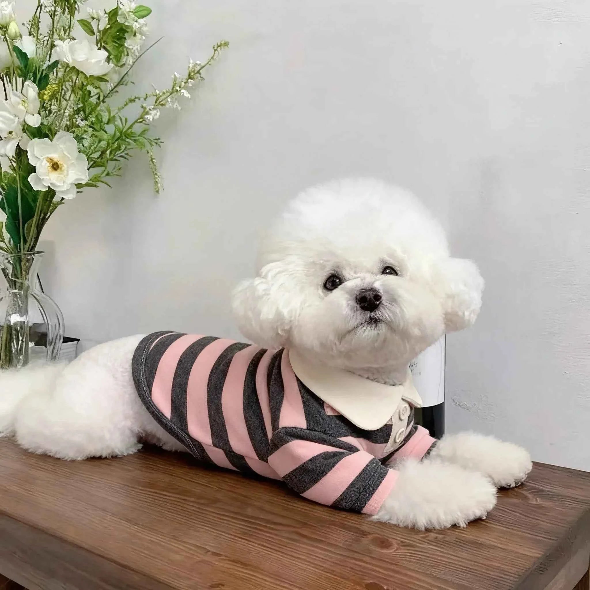 Dog Clothes Teddy York Shire Polo Shirt Summer Dress Striped Pet T-Shirt Dog Costume Soft Pullover Suit for Dog Puppy