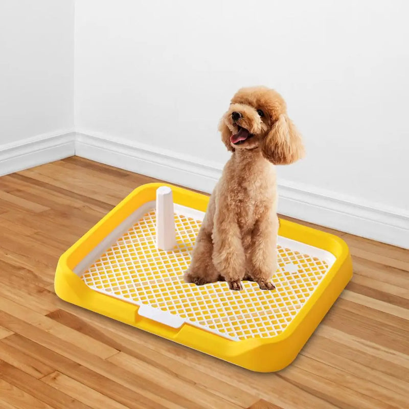 Pee Pad Holder Potty Pads Reusable Mesh Open Top Training Toilet Potty Tray Comfortable Toilet with Protection for Large Puppy