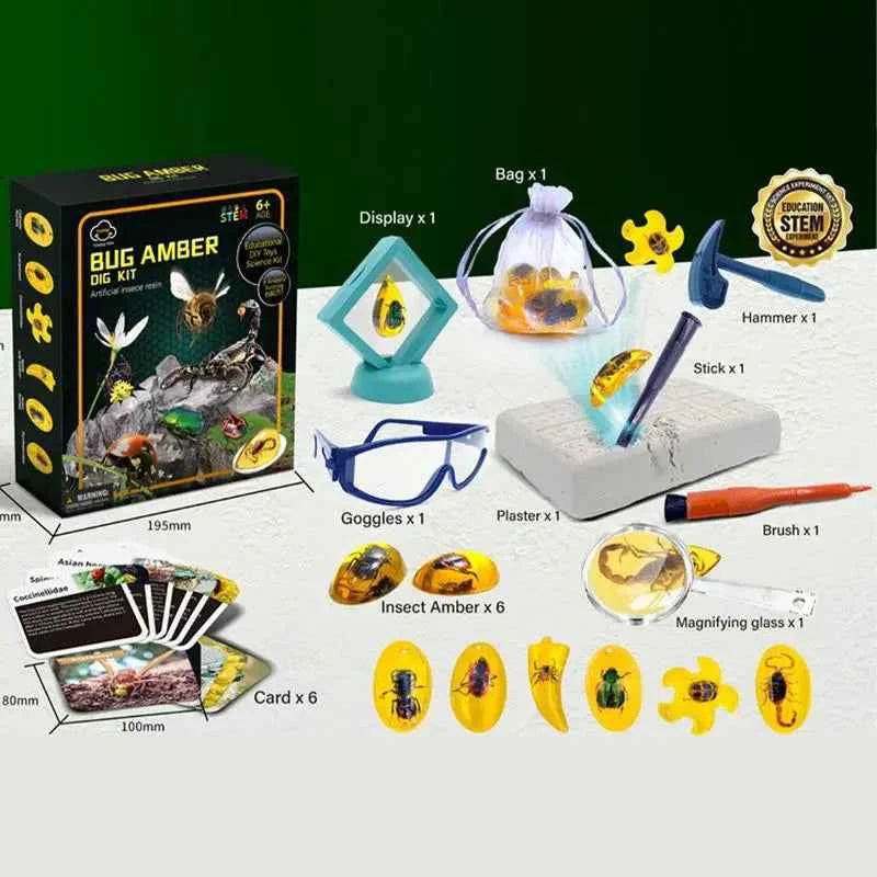Fly Amber Excavation Kit - STEM Science Dig Set with Tools
