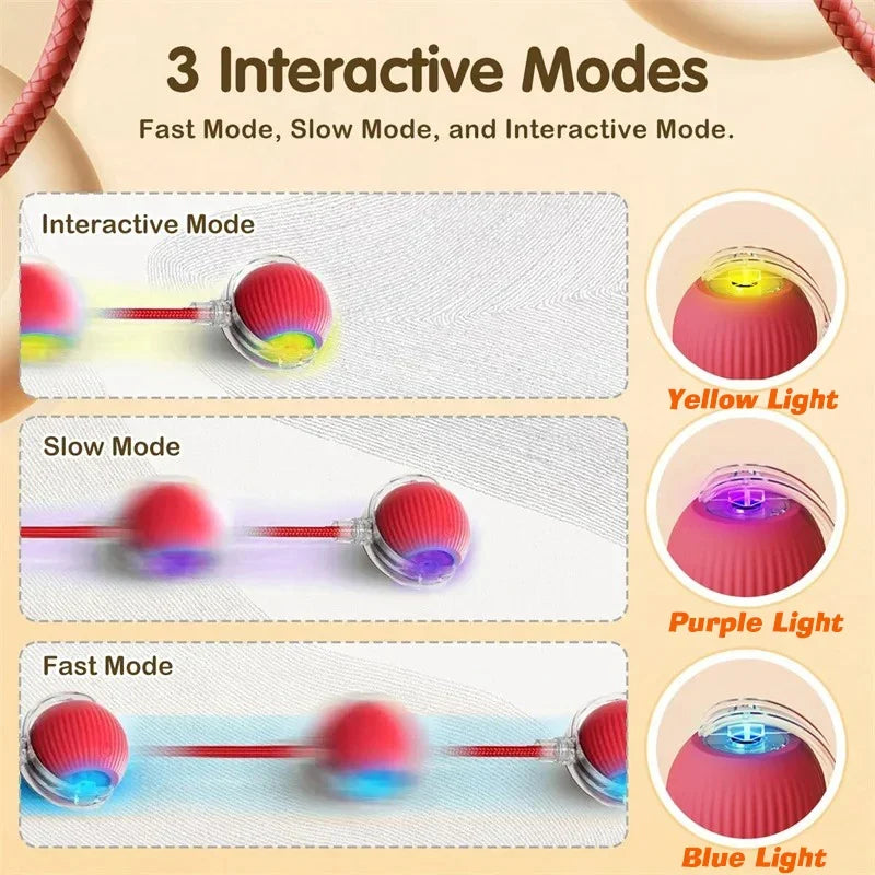 New Cat Interactive Ball Toy,Automatic Rolling Cat Ball Rechargeable,Smart Kitten Interactive Toy,Intelligent Balls Toy for Cat