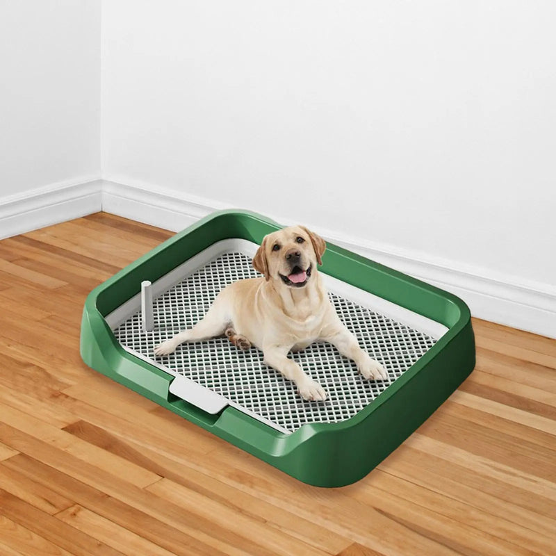 Pee Pad Holder Potty Pads Reusable Mesh Open Top Training Toilet Potty Tray Comfortable Toilet with Protection for Large Puppy