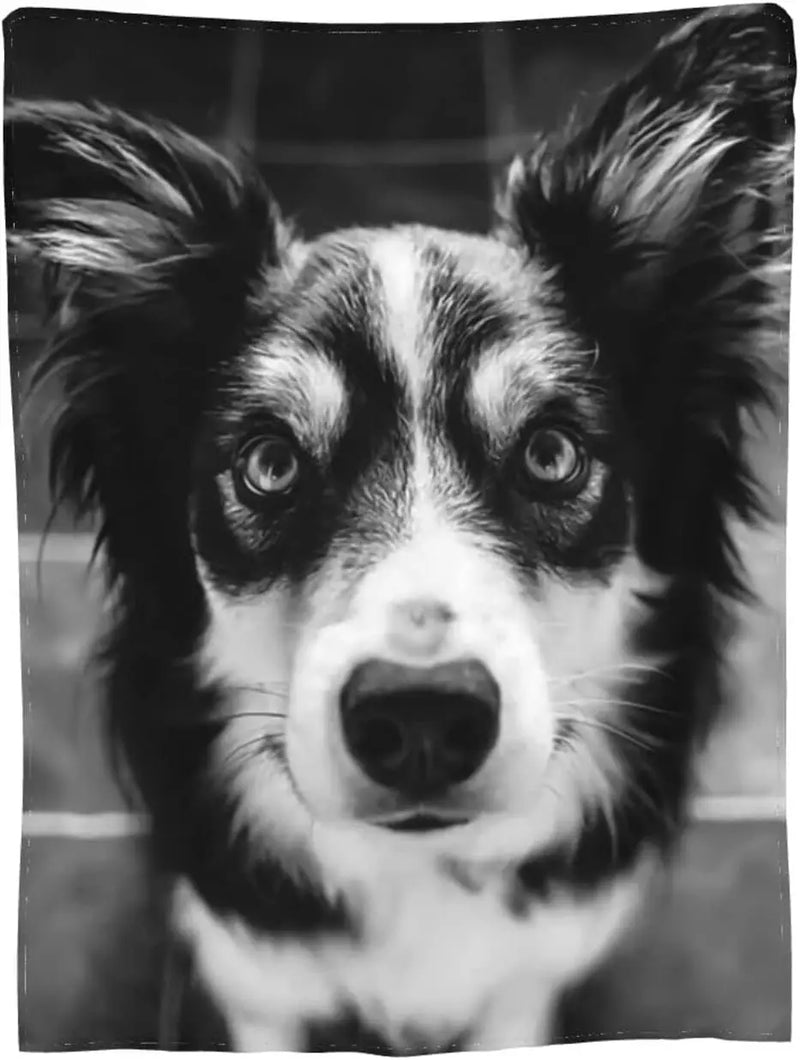 Australian Shepherd Dog Face Blanket Black White Print Soft Fleece Throw Pet Lover Gift Home Decor Cozy Bedding Accessory
