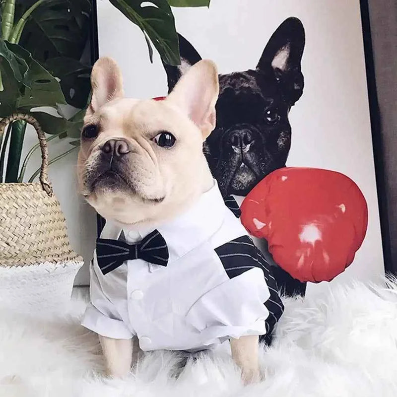 English Style Gentleman Dog Dress Puppy Suit with Tie for Formal Occasions Four Seasons Wedding Pet Photo Teddy Clothes