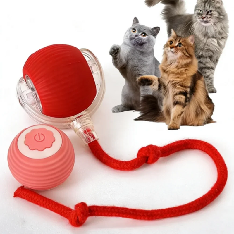 Pet Toy Ball with Tail Rope，Smart Automatic Pet Chase Ball Toy, Upgraded Speedy Tail Kitten Toy for Bored Indoor Adult Pets