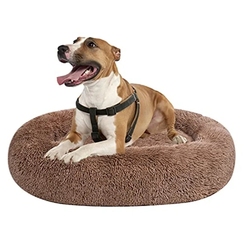 Premium Orthopedic Memory Foam Dog Bed - Charcoal (Medium) (LP)