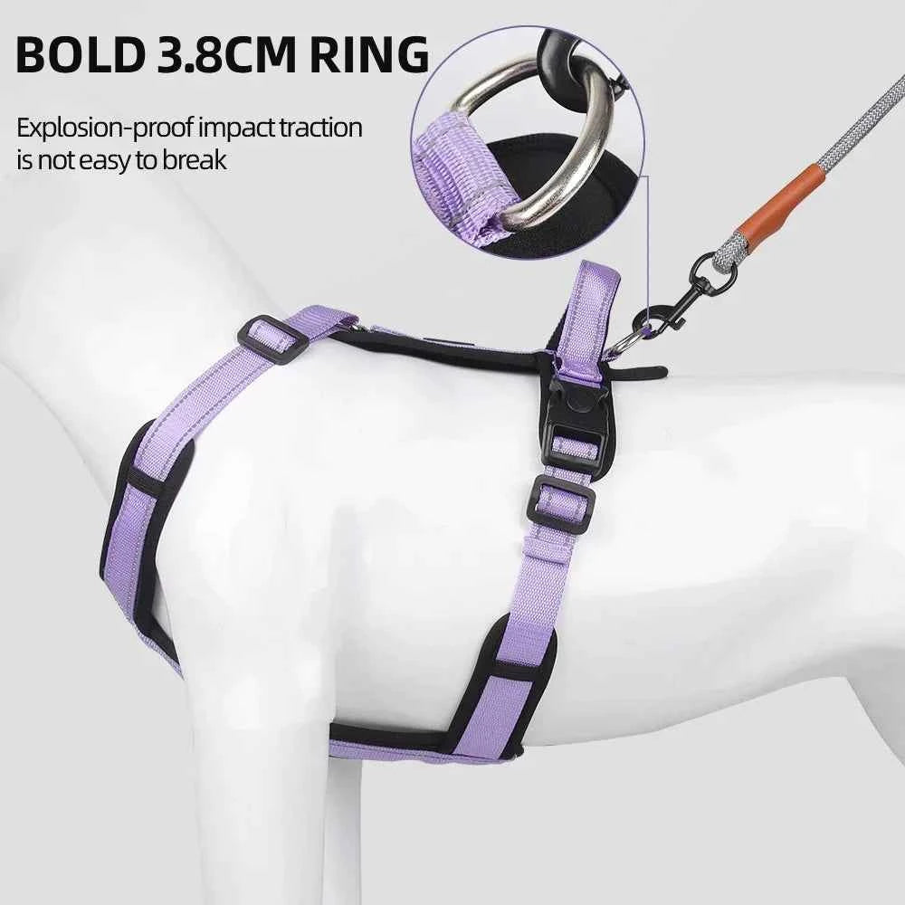 BeiYu Pet Harness With Leash Vest For Dogs