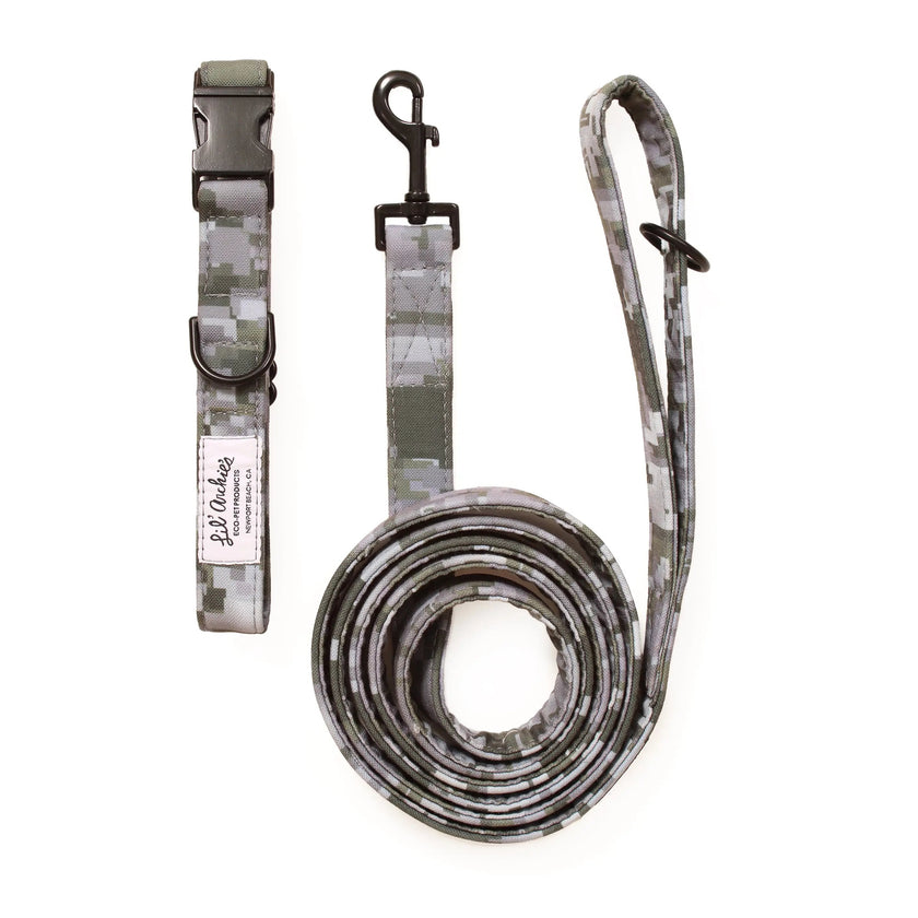 Ruff Ryder Recycled Dog Walk Set
