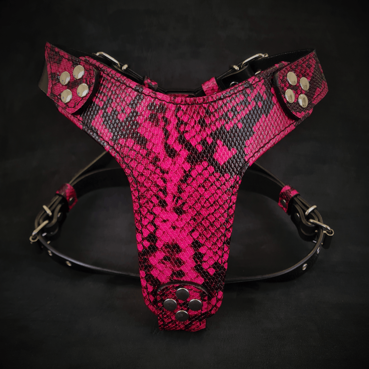 Bestia Rock Python Leather Dog Harness – Small–Medium Dogs