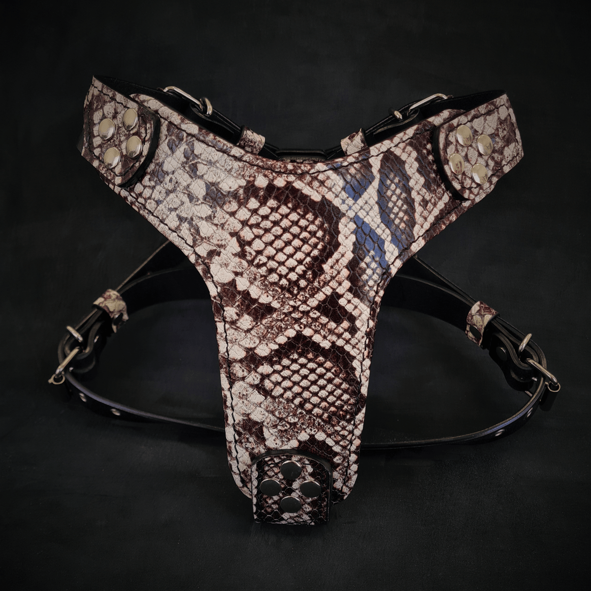 Bestia Rock Python Leather Dog Harness – Small–Medium Dogs (II)