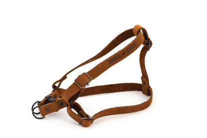 Sport Style Leather Step In Harness Euro-Dog Collars and Leads