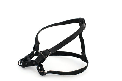 Sport Style Leather Step In Harness Euro-Dog Collars and Leads
