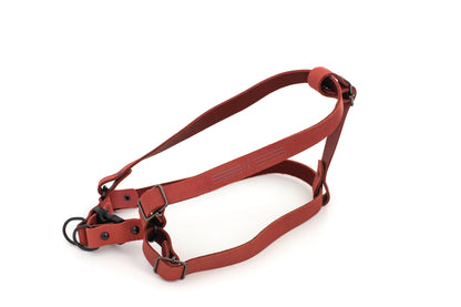 Sport Style Leather Step In Harness Euro-Dog Collars and Leads