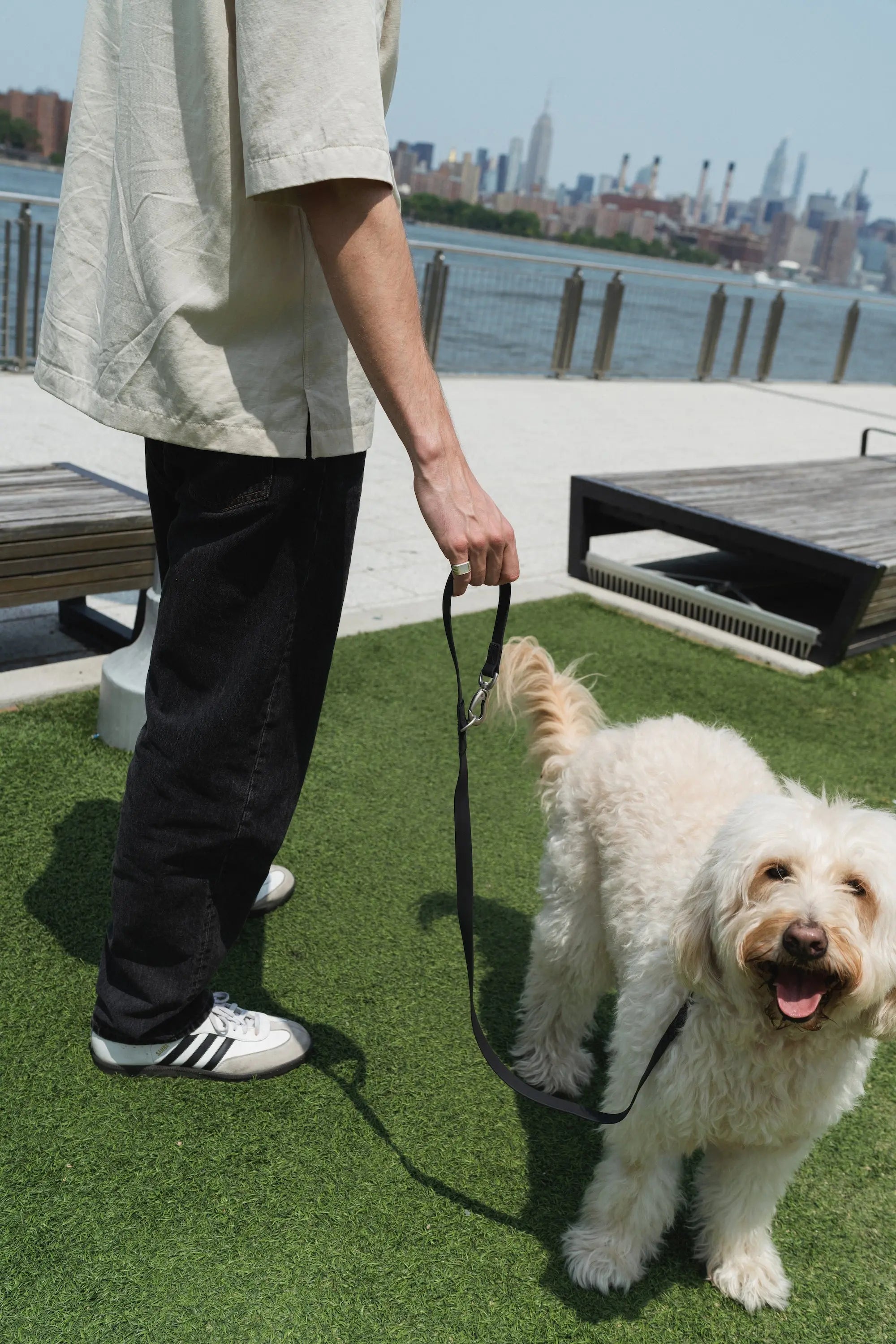 Original City Dog Leash - 3.25ft