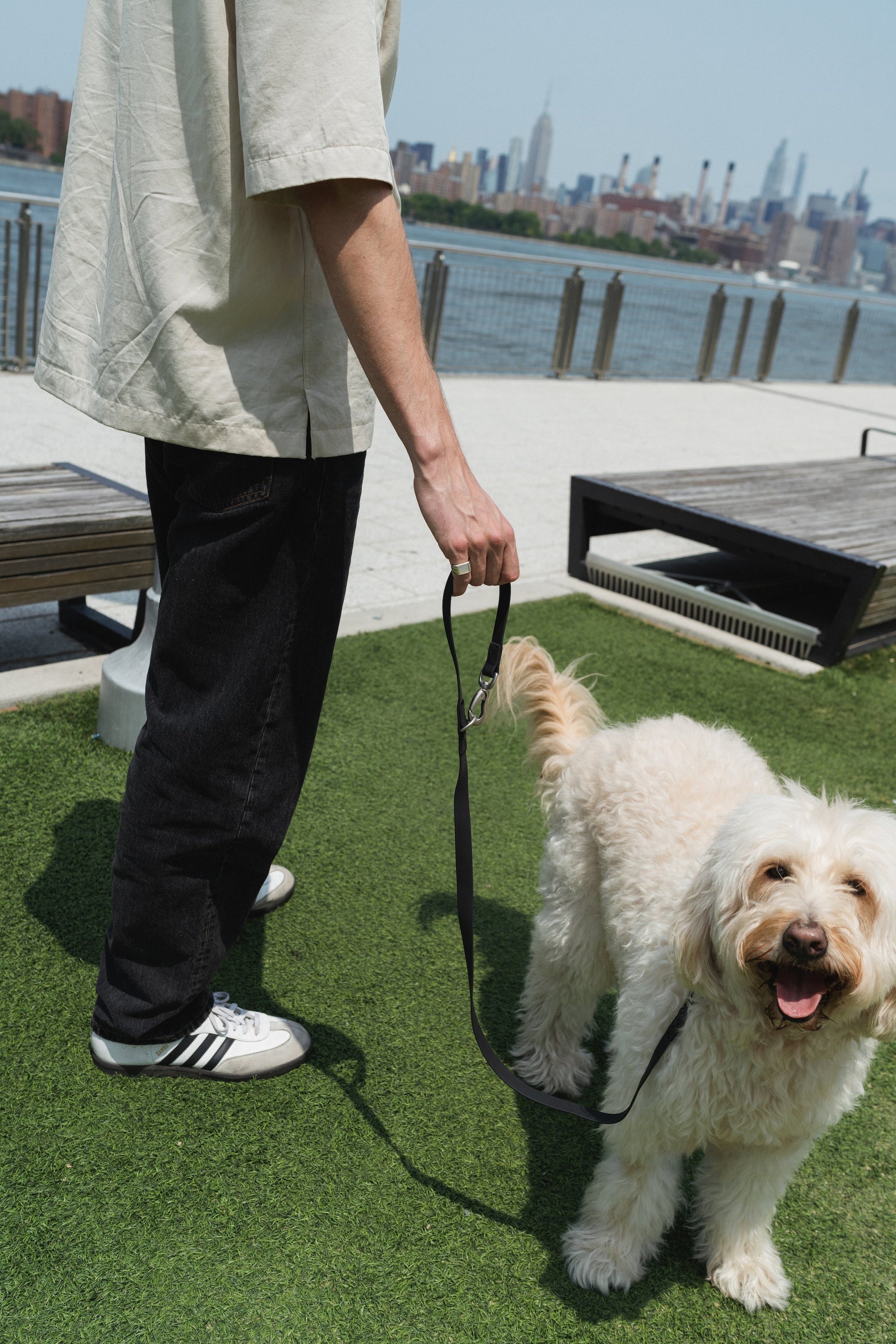 Original City Dog Leash Springland Pets