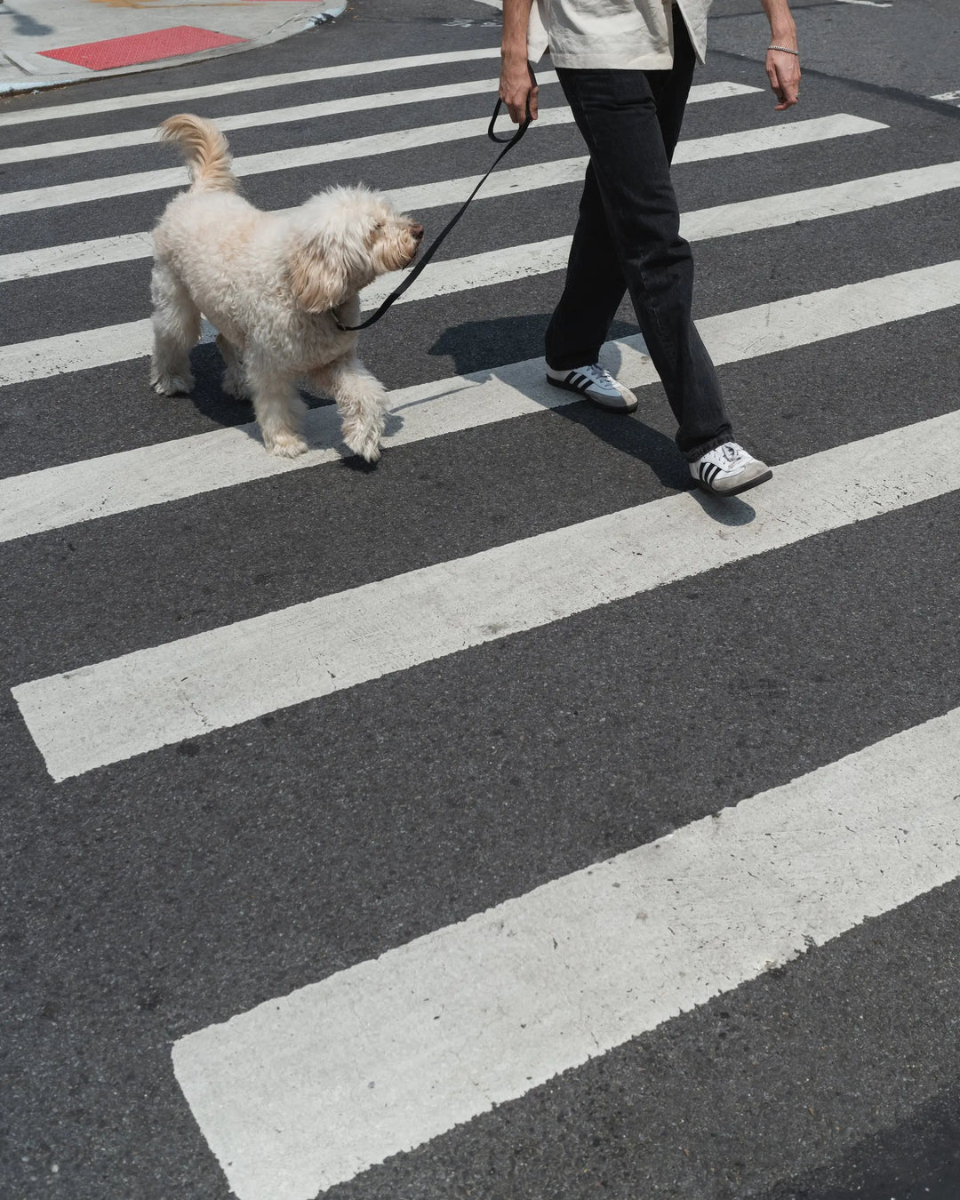 Original City Dog Leash - 3.25ft