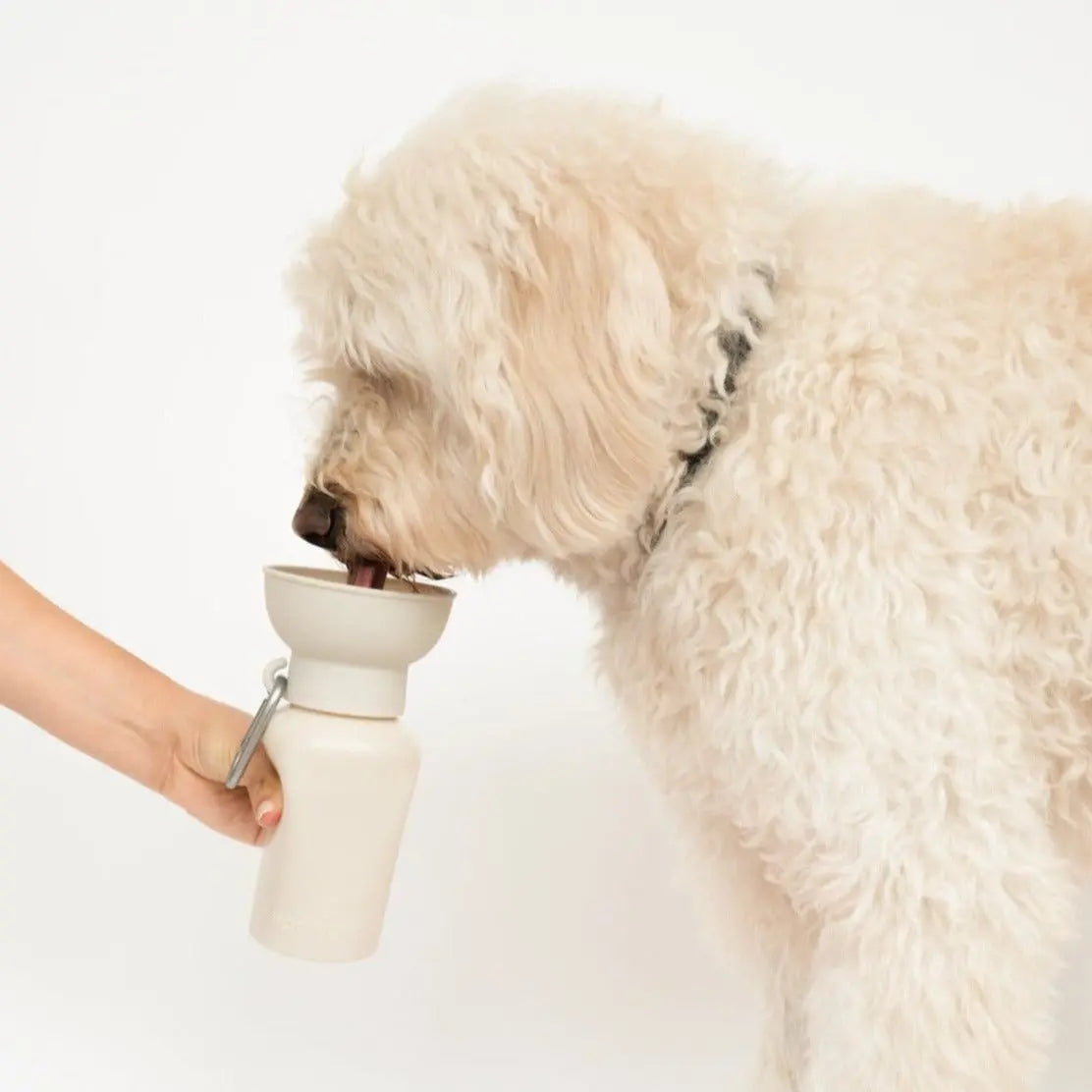20oz Flip Travel Dog Water Bottle