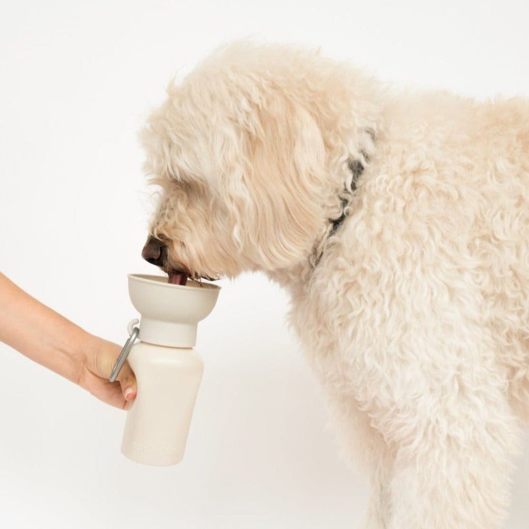 20oz Flip Travel Dog Water Bottle