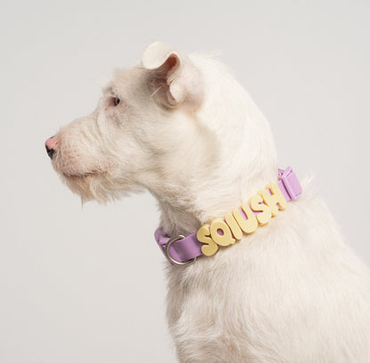Original Dog Collar Springland Pets