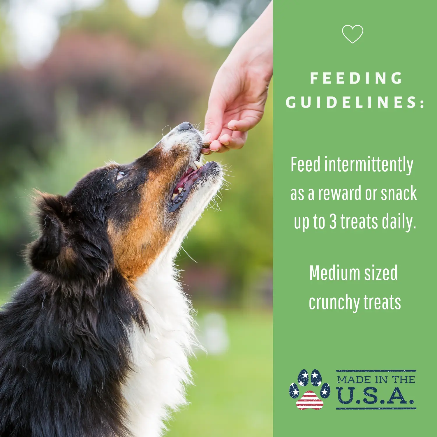 Dog Mamma's Organic Sweet Potato & Kale Recipe - USDA Organic Certified Dog Treats Dog Mamma's Organic Dog Treats