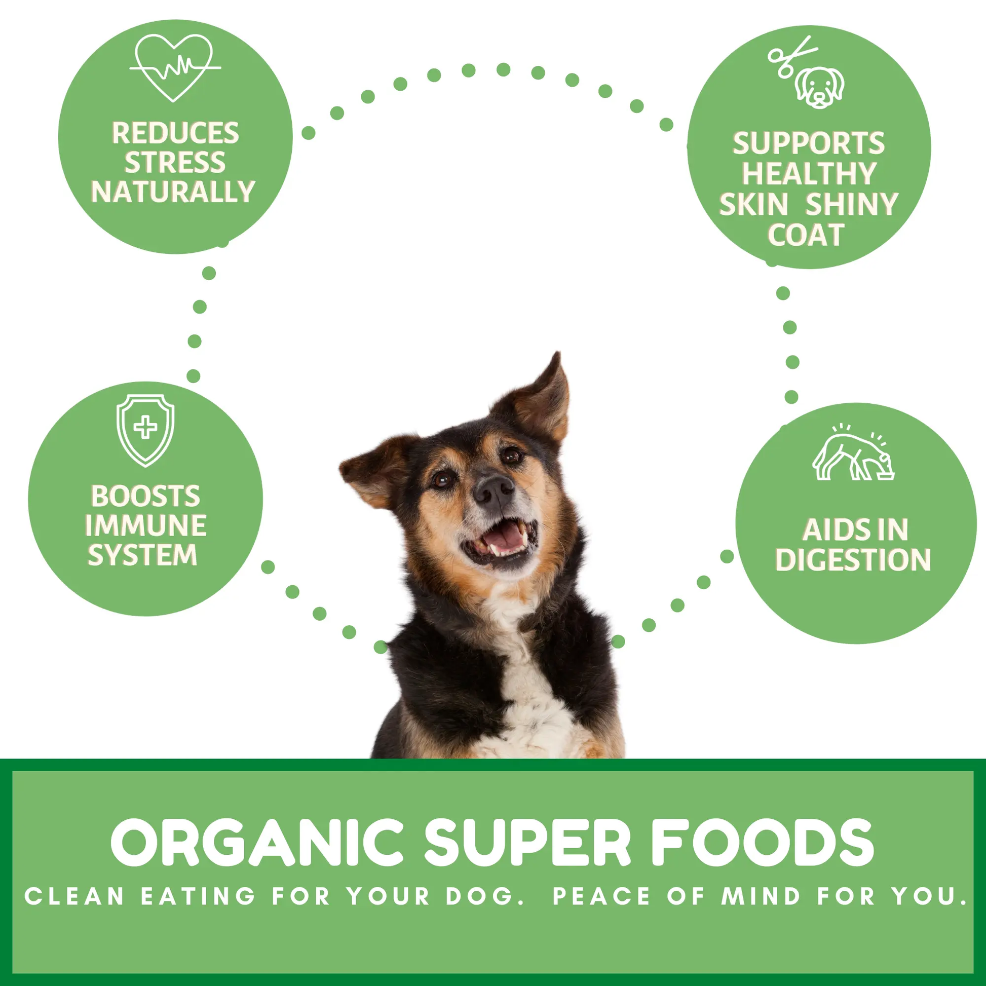 Dog Mamma's Organic Sweet Potato & Kale Recipe - USDA Organic Certified Dog Treats Dog Mamma's Organic Dog Treats