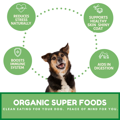 Dog Mamma's Organic Sweet Potato & Kale Recipe - USDA Organic Certified Dog Treats Dog Mamma's Organic Dog Treats
