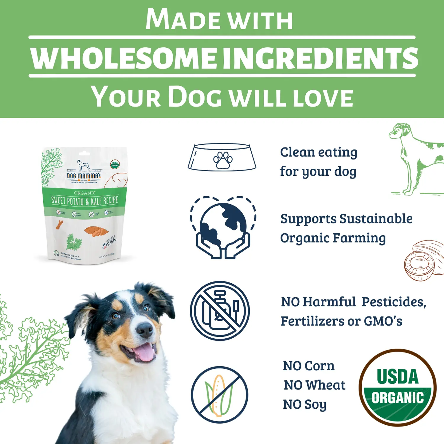 Dog Mamma's Organic Sweet Potato & Kale Recipe - USDA Organic Certified Dog Treats Dog Mamma's Organic Dog Treats