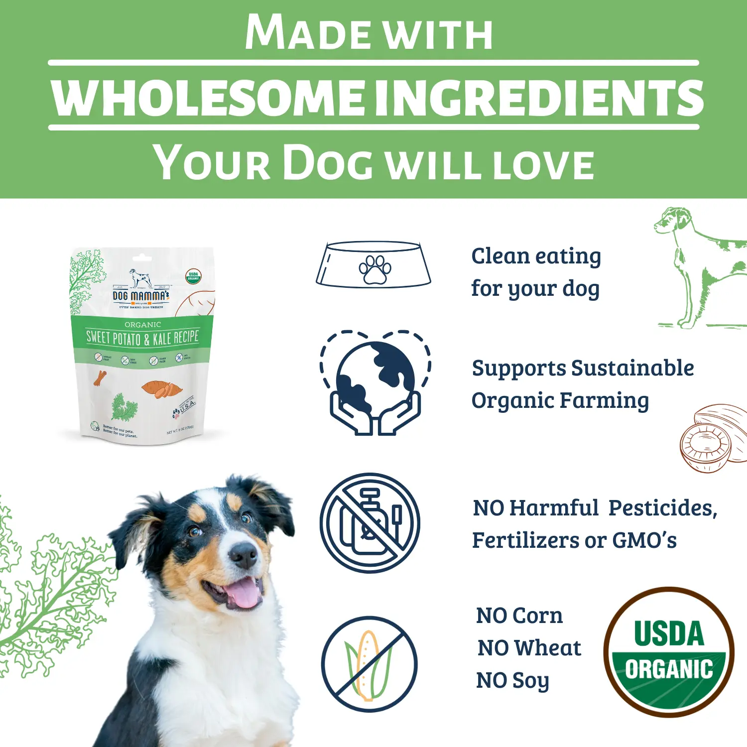 Dog Mamma's Organic Sweet Potato & Kale Recipe - USDA Organic Certified Dog Treats Dog Mamma's Organic Dog Treats