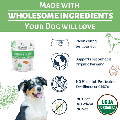 Dog Mamma's Organic Sweet Potato & Kale Recipe - USDA Organic Certified Dog Treats Dog Mamma's Organic Dog Treats