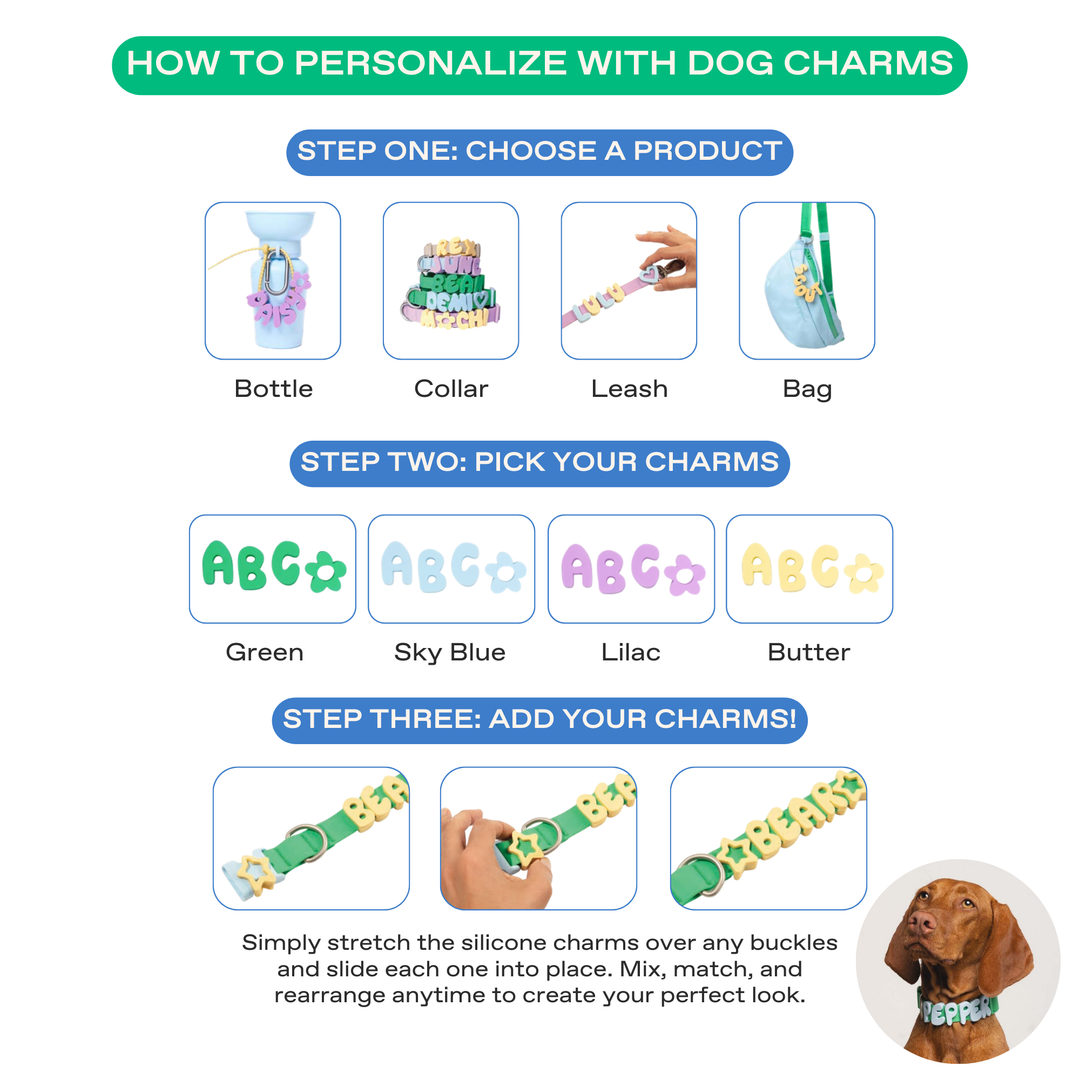 Original Dog Leash with Neoprene Handle
