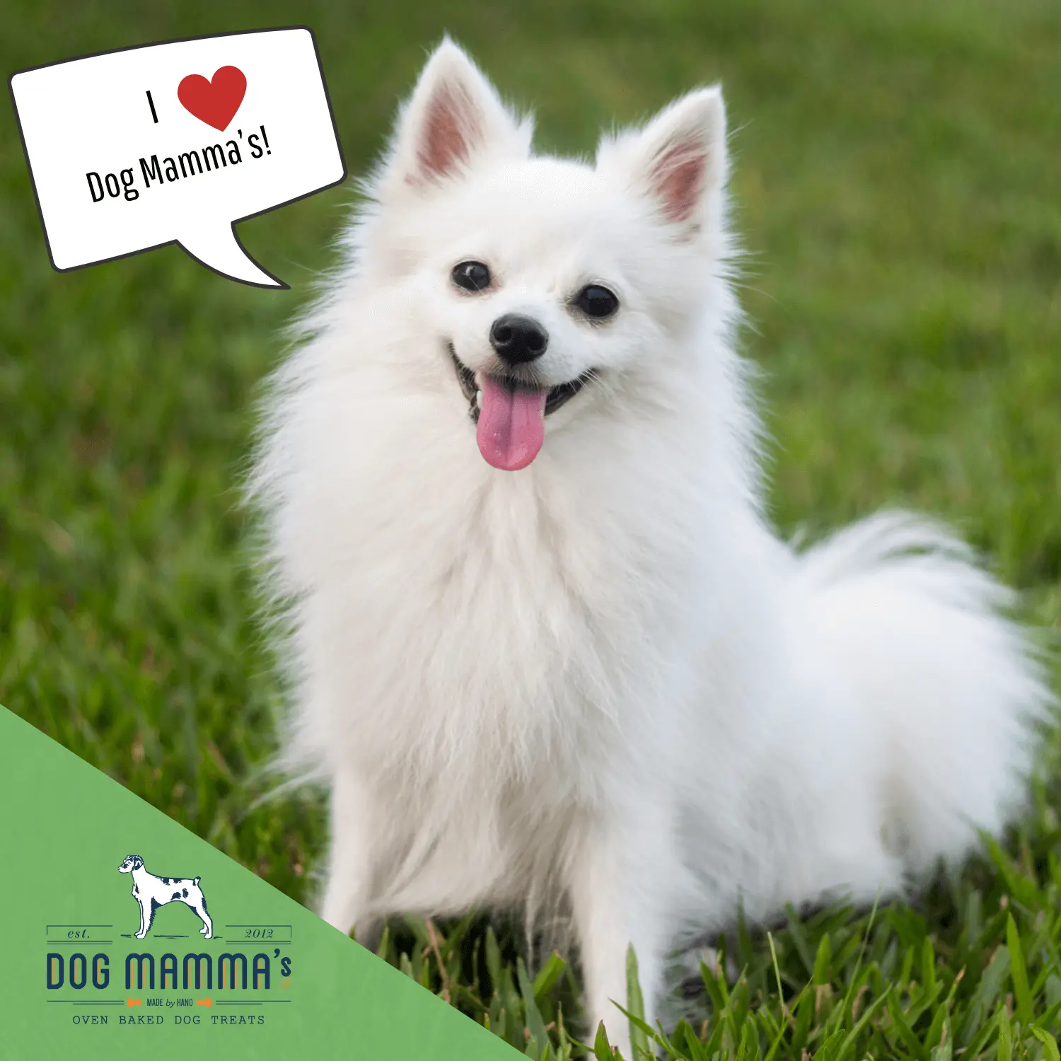 Dog Mamma's Organic Sweet Potato & Kale Recipe - USDA Organic Certified Dog Treats Dog Mamma's Organic Dog Treats