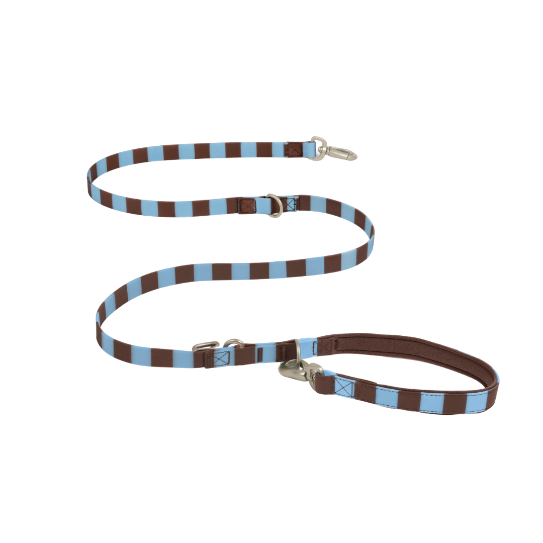 Waterproof Dog Leash - 5ft