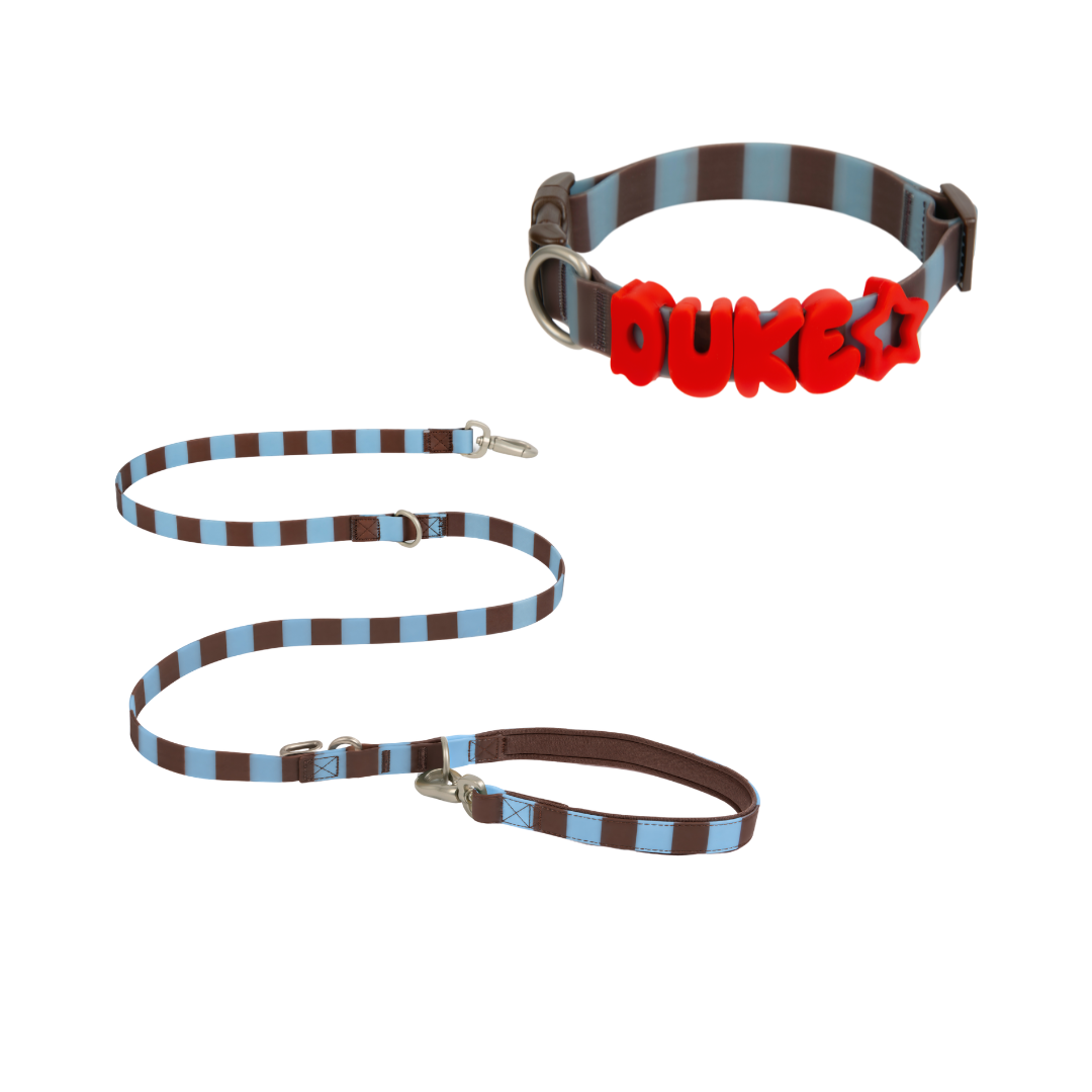 Waterproof Dog Leash - 5ft