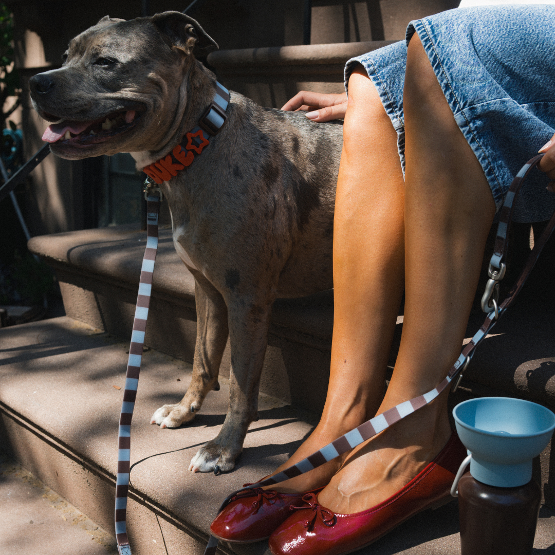 Waterproof Dog Collar