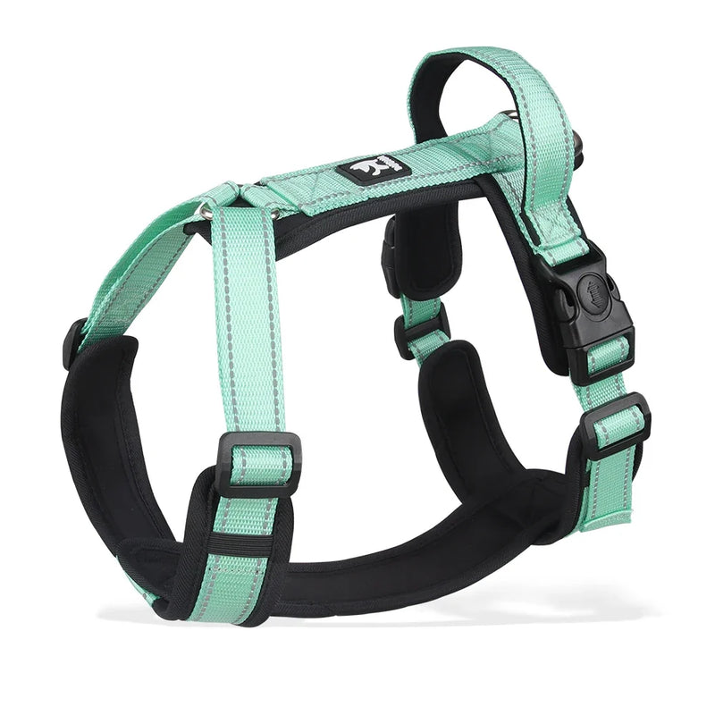 BeiYu Pet Harness With Leash Vest For Dogs