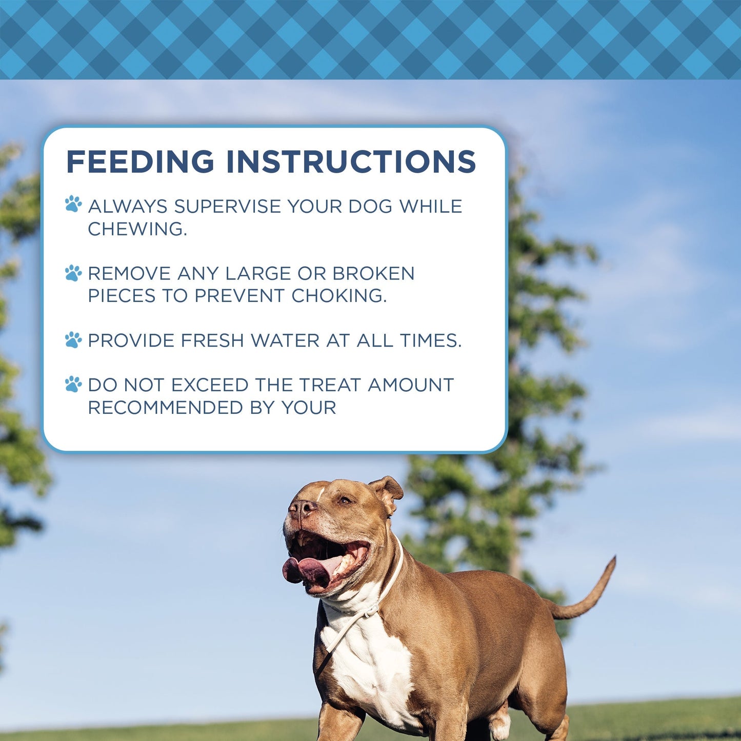 Country Living 4”-5” Beef Flavored Chicken Sausage Dog Treats – 15 Count Bag – Soft & Chewy, High-Protein Training & Reward Treats – Grain-Free, No Artificial Flavors or Preservatives American Pet Supplies