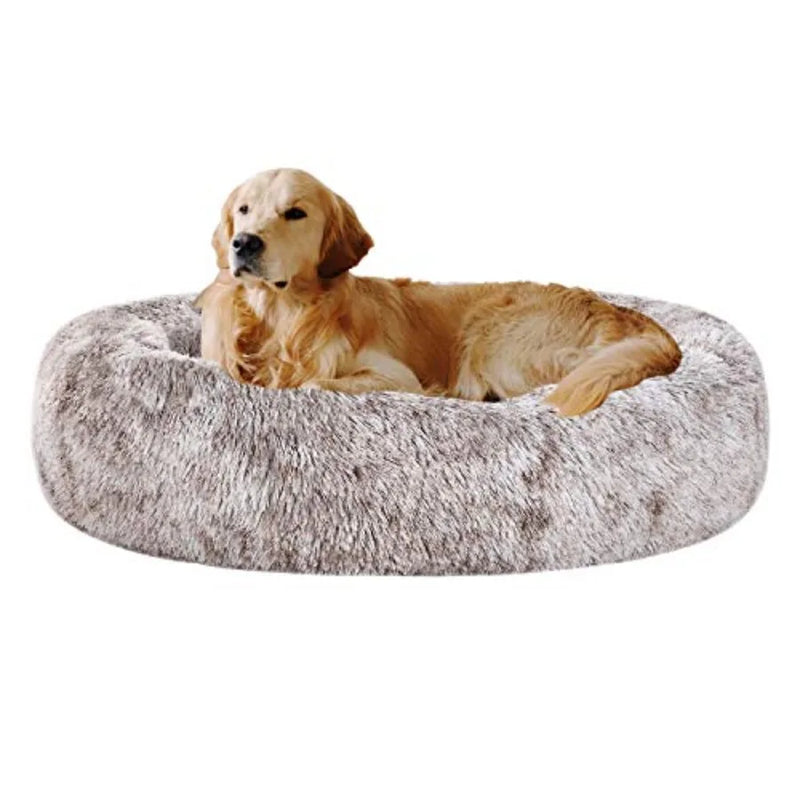 Premium Orthopedic Memory Foam Dog Bed - Charcoal (Medium) (LP)