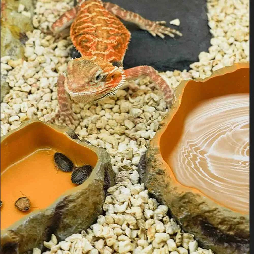 Reptile Worm Water Bowl Resin Rock Dish Plate Terrarium Tank Turtle Food Bowls for Lizard Snake Frog Scorpion Hamster Feeder