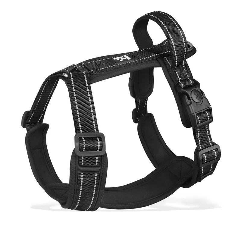 BeiYu Pet Harness With Leash Vest For Dogs