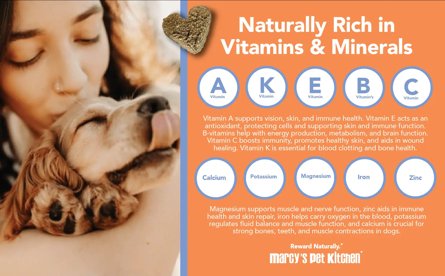 Marcy's Pet Kitchen- All Natural, Vegan Pumpkin Biscuit Dog Treats - Homemade-Vet Approved- Vegan, Gluten Free, Human Grade Ingredients, Made in The USA, Healthy Pumpkin Dog Treats Marcy's Pet Kitchen