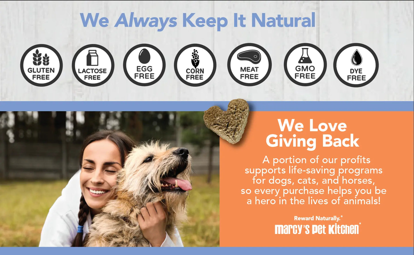 Marcy's Pet Kitchen- All Natural, Vegan Pumpkin Biscuit Dog Treats - Homemade-Vet Approved- Vegan, Gluten Free, Human Grade Ingredients, Made in The USA, Healthy Pumpkin Dog Treats Marcy's Pet Kitchen